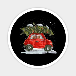 Poodle Riding Red Truck Xmas Merry Christmas Magnet